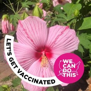 Meet your Posher, Burnette